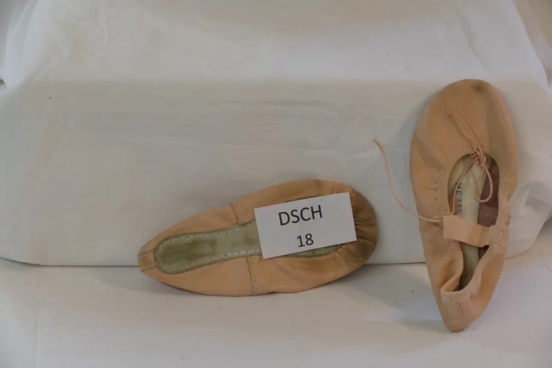 Balletschoenen