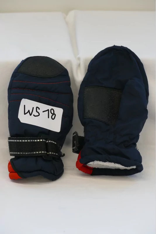 Handschoenen