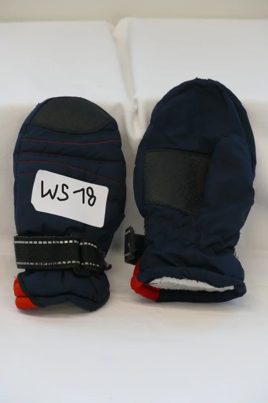 Handschoenen