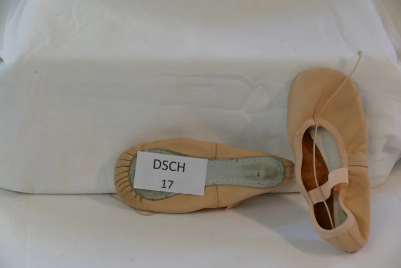 Balletschoenen