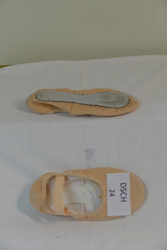Balletschoenen