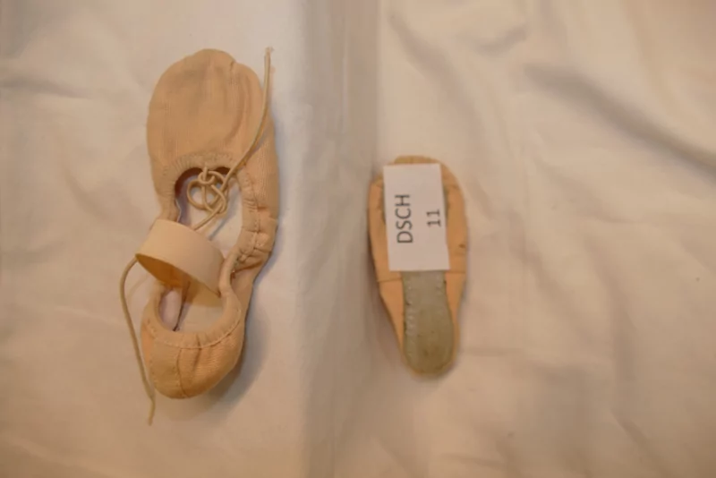 Balletschoenen